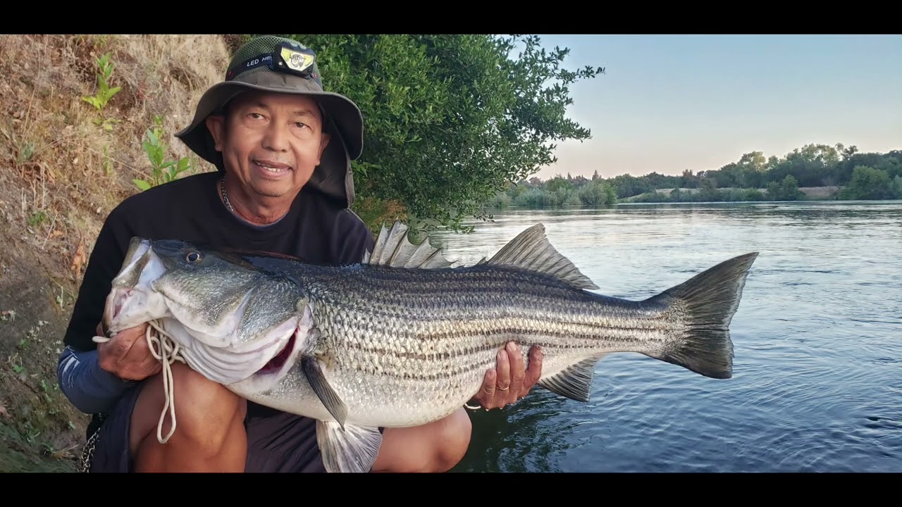 Striper choked lure pb 37