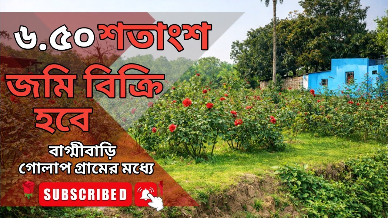 বিরুলিয়া বাগ্নীবাড়ি আশেক আলী মার্কেট সংলগ্ন সরকারি ১২ ফিট রাস্তার সাথে নিষ্কণ্টক জমি বিক্রি হবে