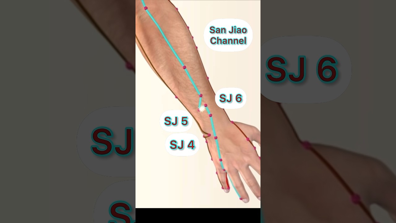 San Jiao Channel Acupuncture Points #acupuncturepoints