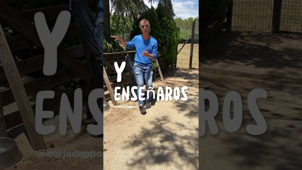 CONSIGUE AQUI 642 84 23 52 TU DOCU CURSO DE ADIESTRAMIENTO NATURAL CON BORJA CAPPONI/EL MEJOR CURSO