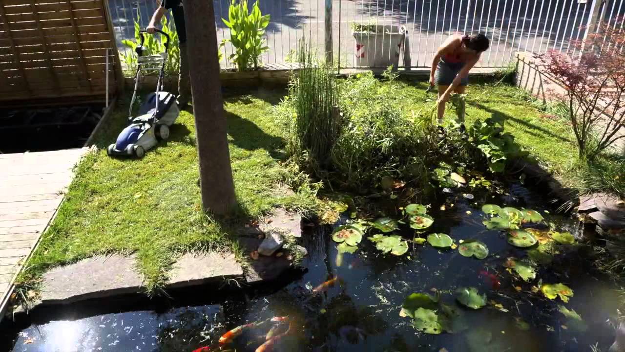 Falciaerba.lapse