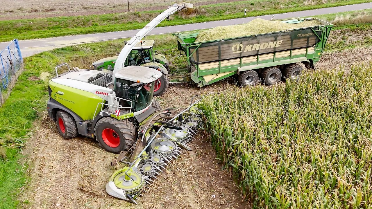 Claas Jaguar 990 + Claas Xerion 5000 + 4200 bei der Maisernte 2025