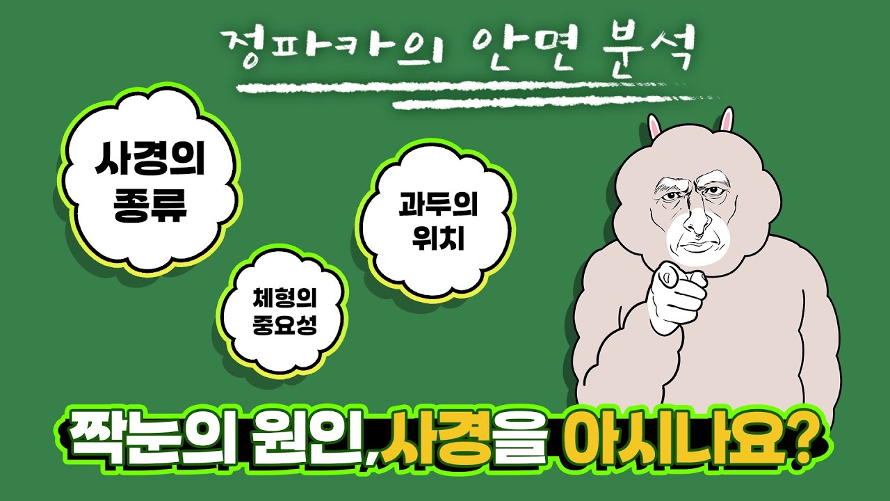 짝눈의 원인, 사경을 아시나요?  | 정파카