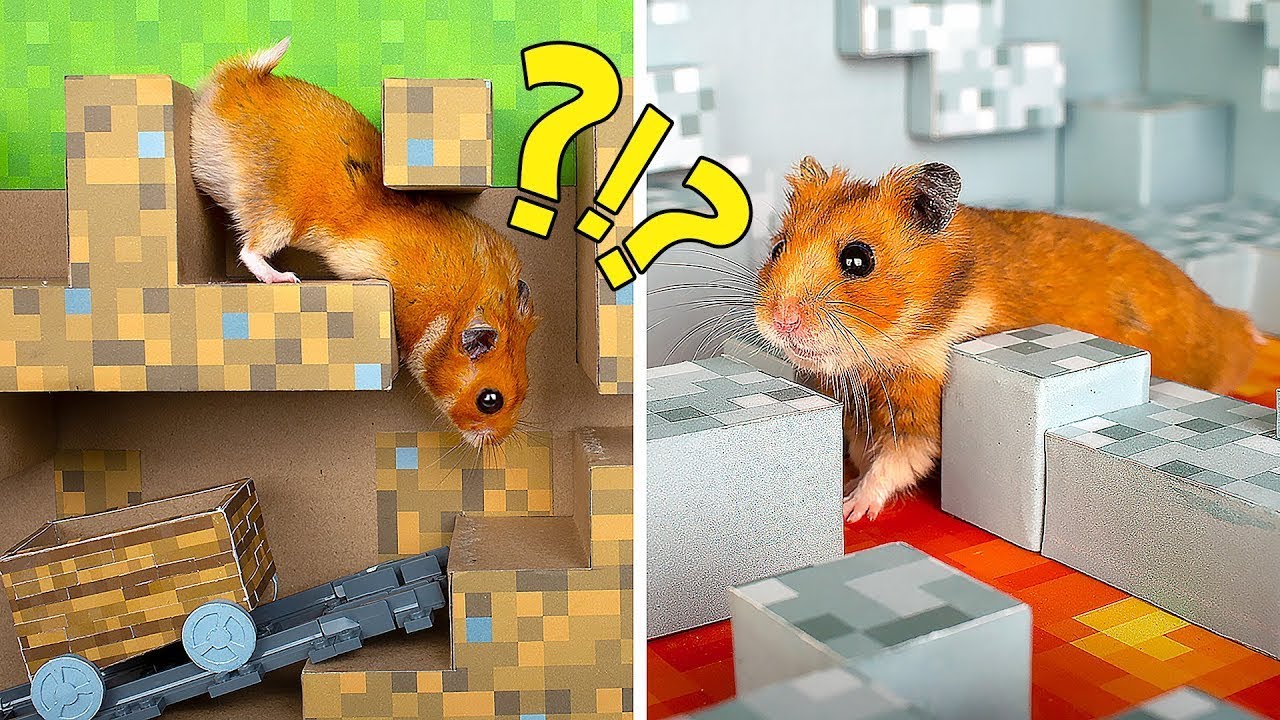 Un incre&iacute;ble Laberinto Mineсraft para tu h&aacute;mster! 🐹❤️