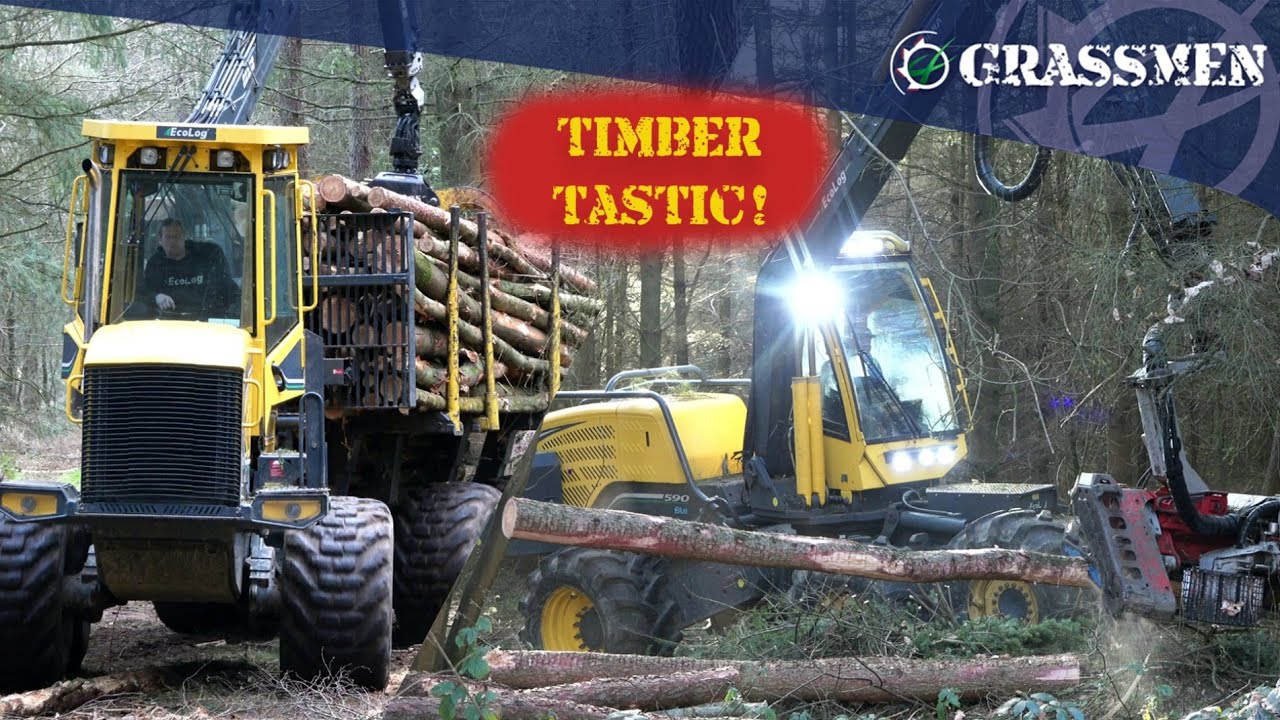 Timber Tastic
