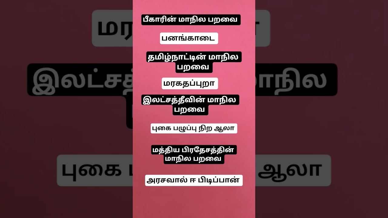 மாதிரி வினா விடை Group 2 group 4 Tnpsc exam