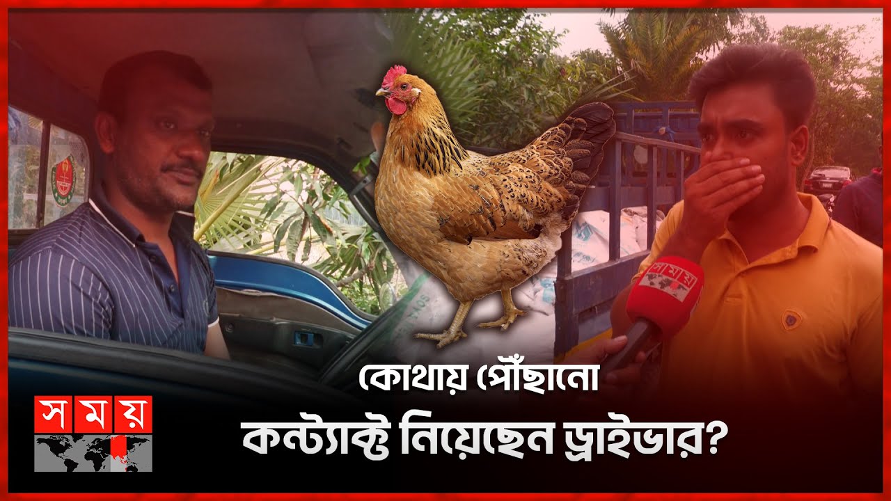 ম'রা মুরগি ভর্তি গাড়ি যাচ্ছে কোথায়? | Hen | Gazipur News | Driver | Pickup | Somoy TV