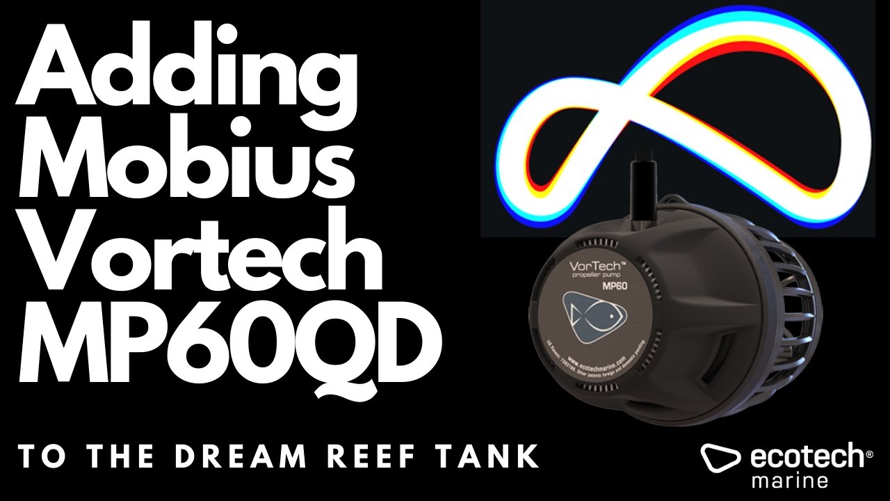Unboxing and setting up a Mobius enabled MP60QD Vortech