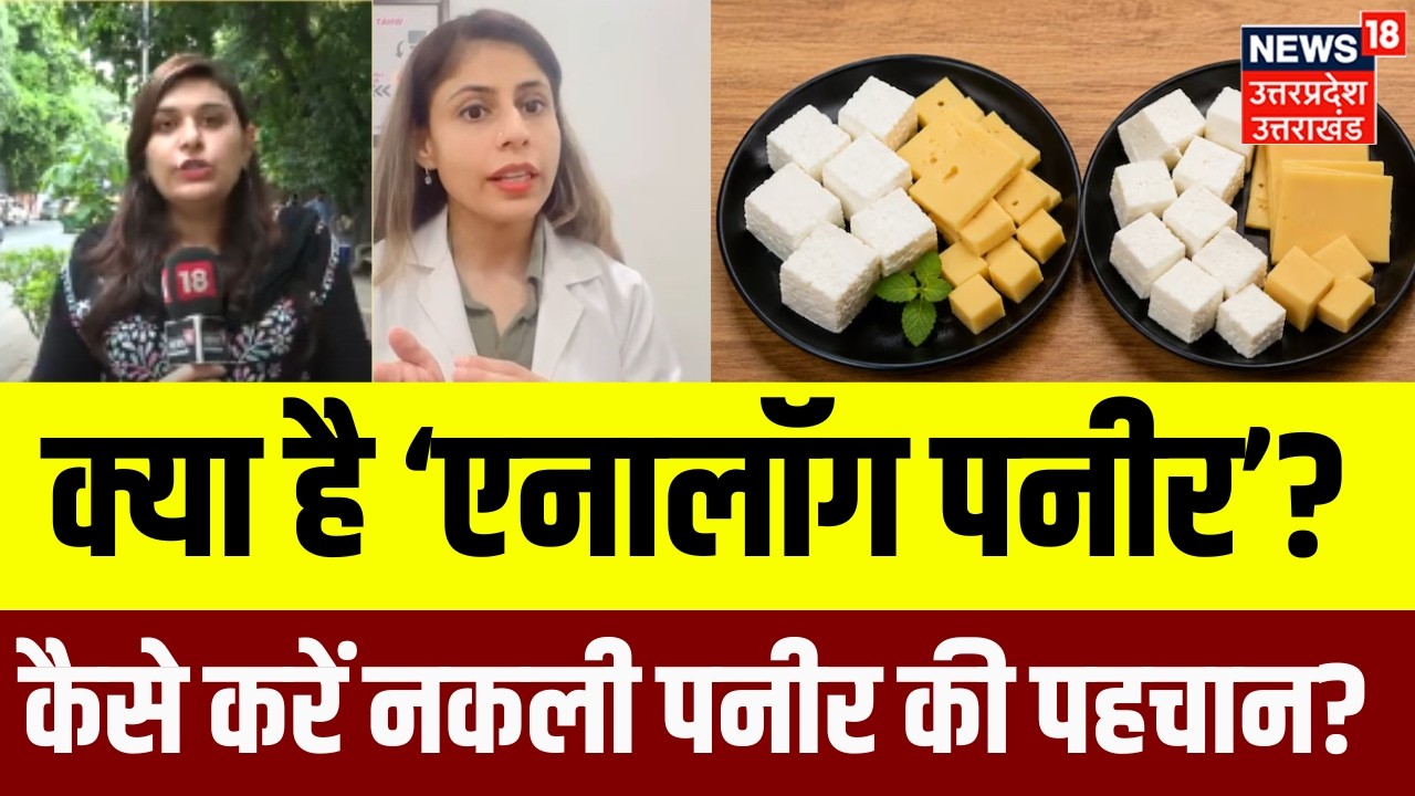 Analog Paneer Explained: क्या है &lsquo;एनालॉग पनीर&rsquo;? असली पनीर से कितना अलग, जानिए पूरी सच्चाई | N18V