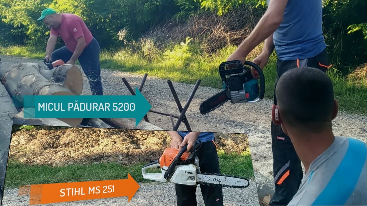 Drujbe MICUL PĂDURAR 5200  și STIHL MS251 ~ Tăiere lemne de fag pentru iarnă partea partea a II-a