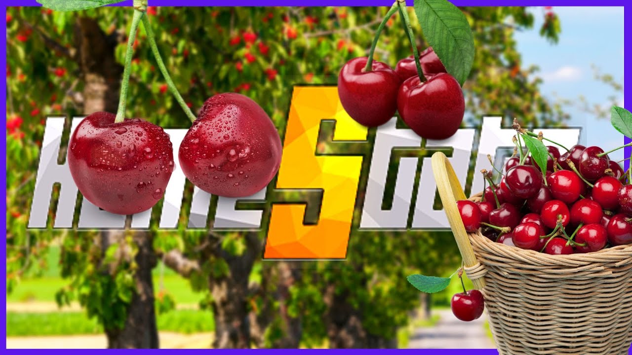 AUF in die NATUR! [#21] HOMESTATE GTA RP