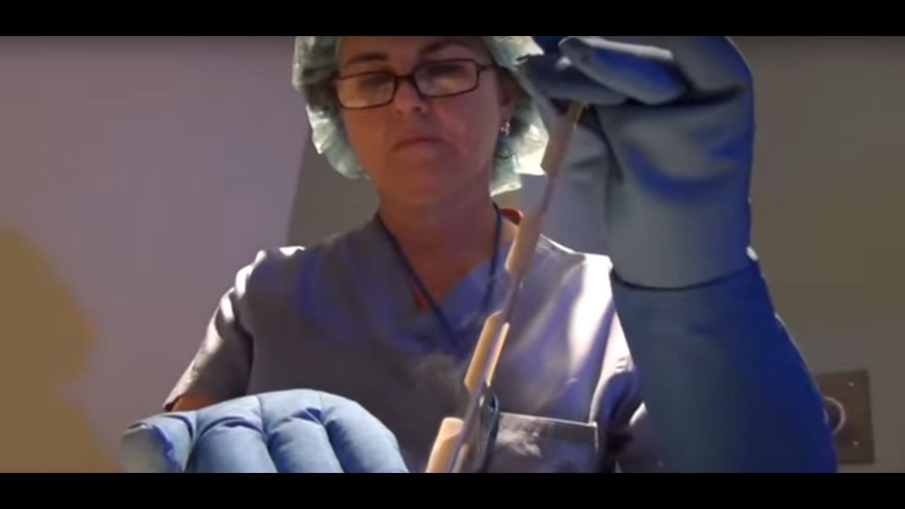 Fertility Treatment: Sperm, Egg, and Embryo Freezing - RMA of Philadelphia