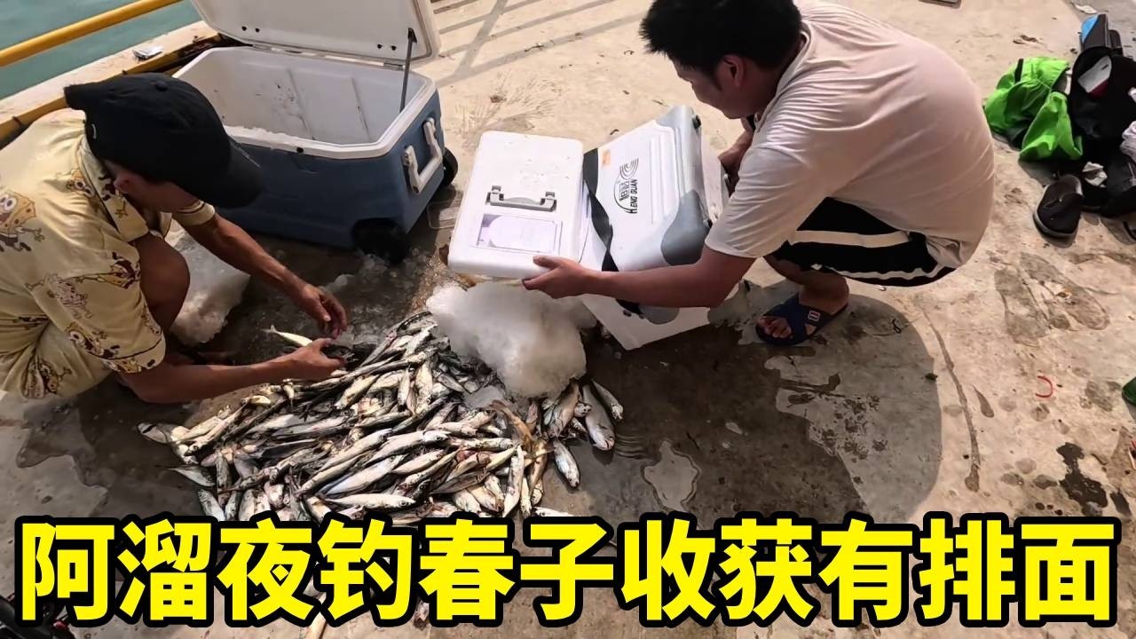 夜钓春子季开启！阿溜直接变“拉鱼溜”，这收获拿回去太有排面了【莆农阿敏】