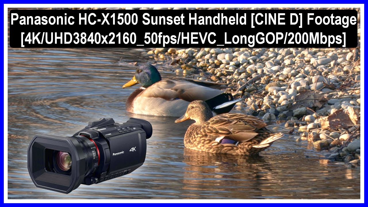 4K⁵⁰📹Panasonic HC-X1500 Sunset Handheld [CINE D] Footage Test