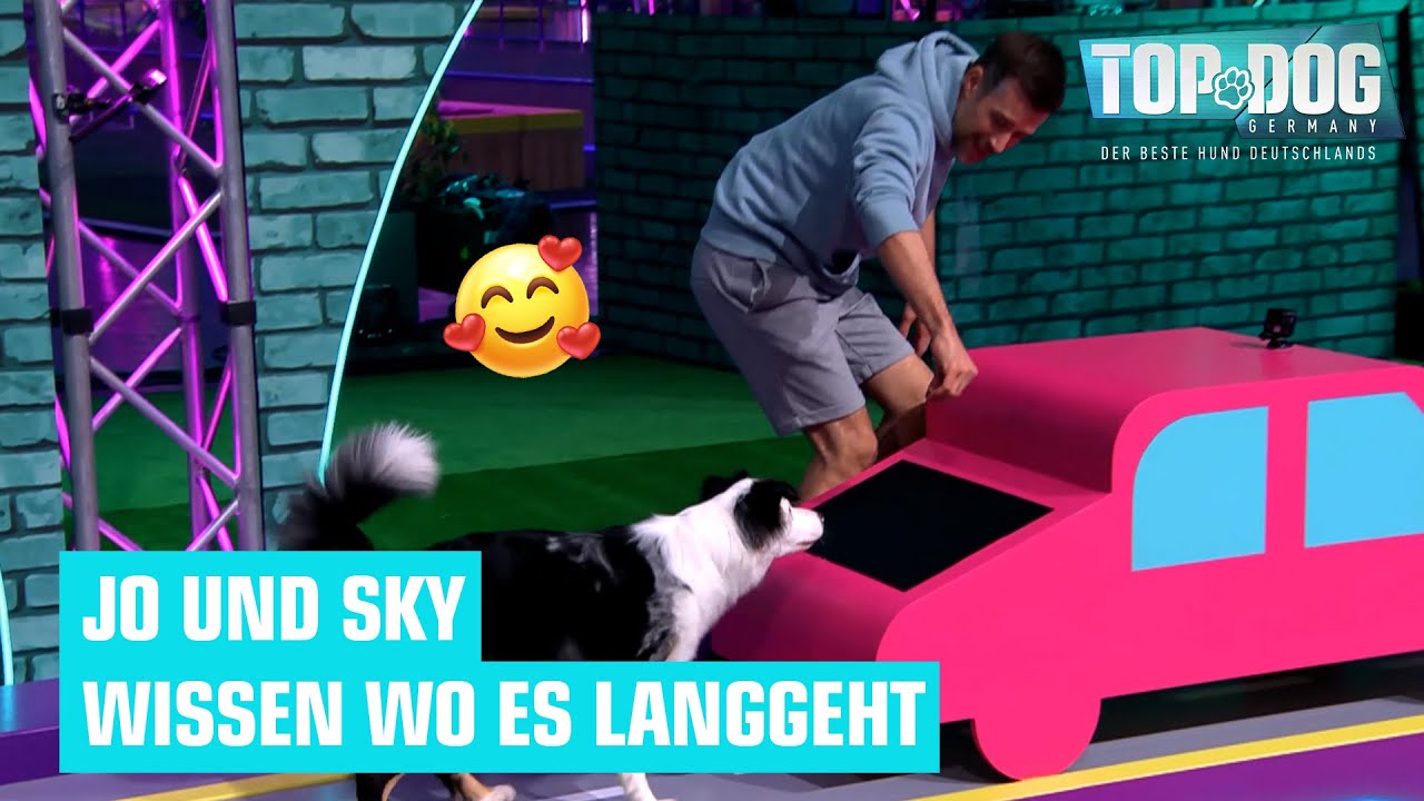 Schauspieler Jo Weil mit Sky im Parcours 🥳🐶 | Top Dog Germany - Promi-Special 2022
