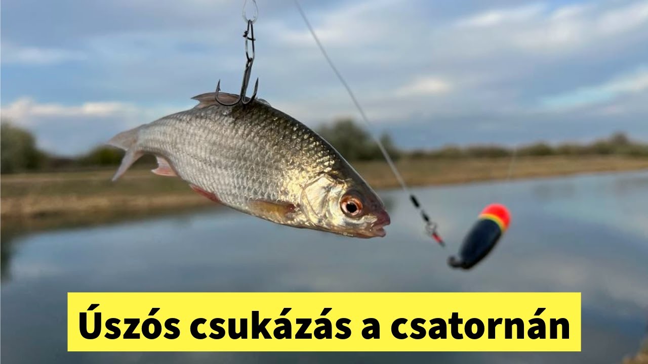Zabál a csuka | Úszós csukázás a csatornán