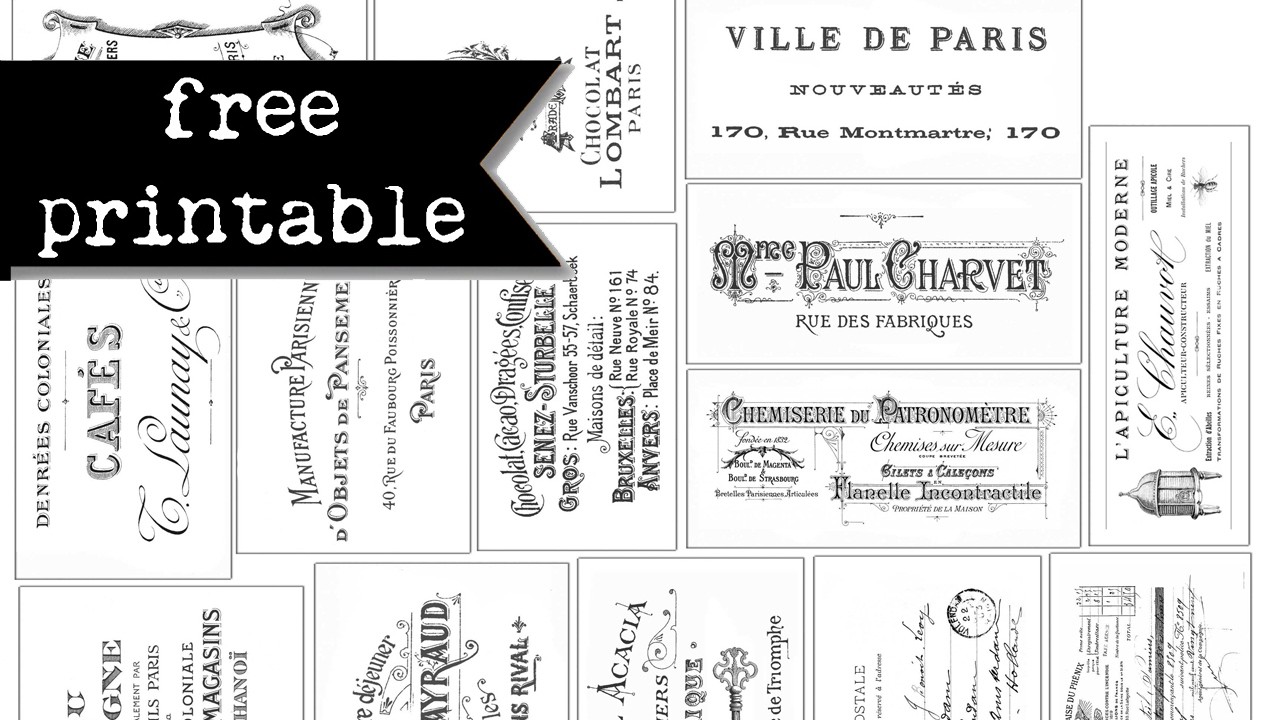 🎁 How To Get Free Digital Papers For Crafts | Friday Freebie Free Printable