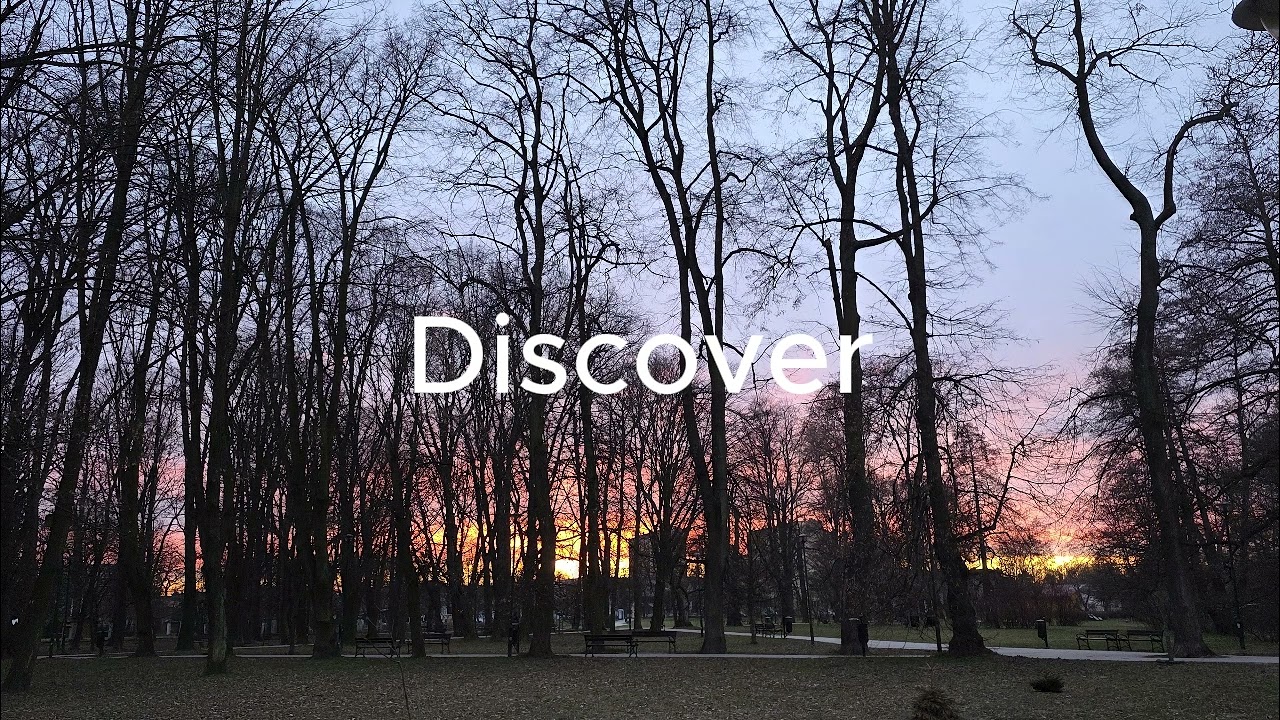 Discover