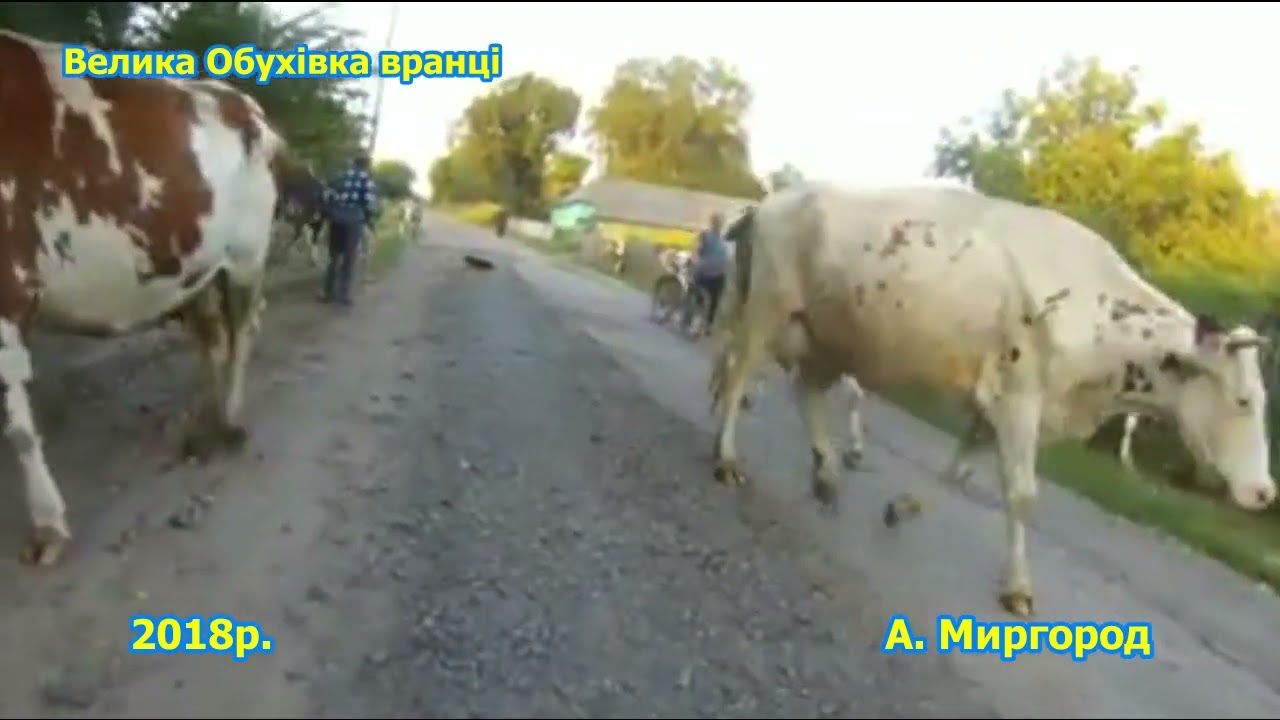 Село Велика Обухівка вранці 2018р.