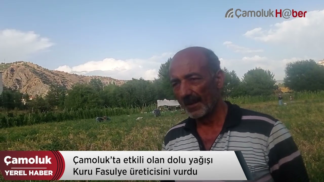 Çamoluk'ta Dolu Çiftçiye zarar verdi