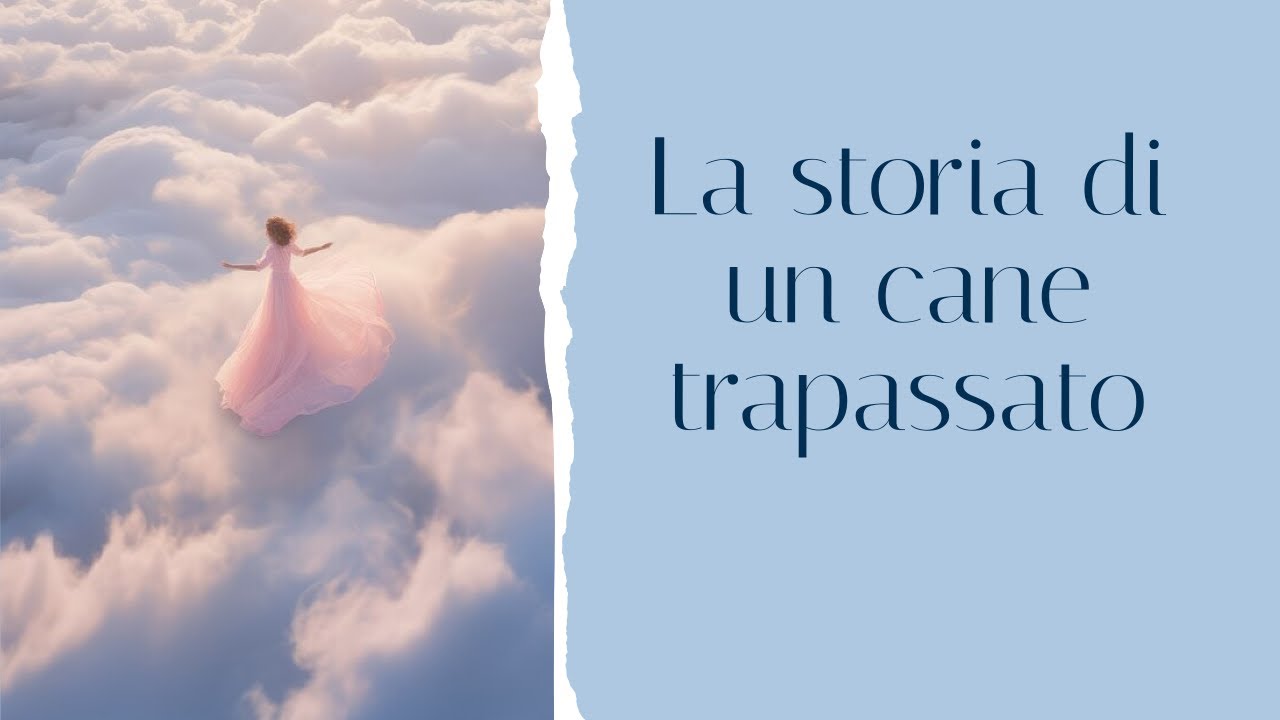 I cani nell'aldilà - I segni della loro presenza