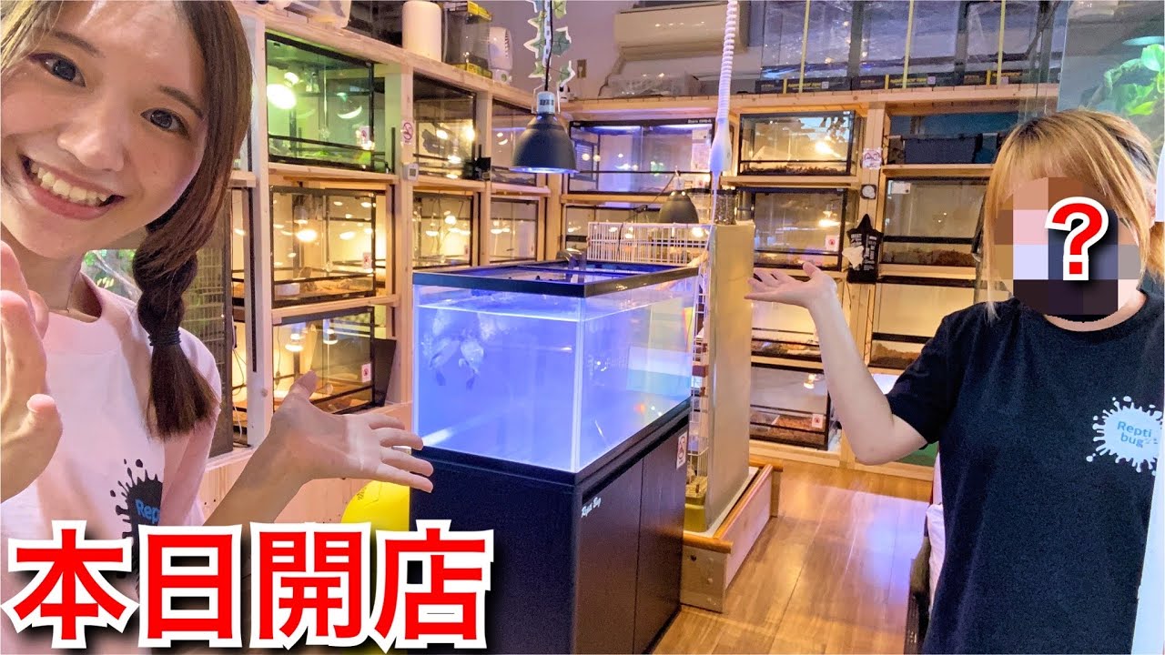 ２３歳の女の子が始めた本日オープンの爬虫類ショップが凄すぎた…！