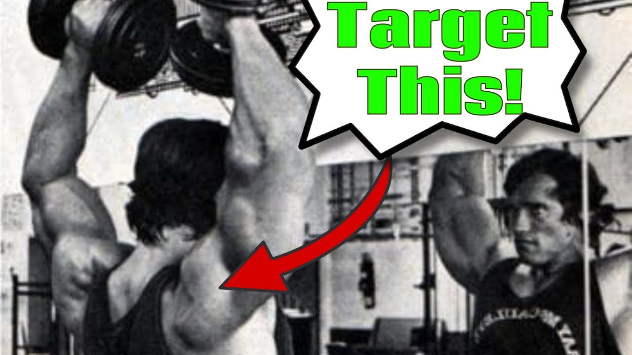 Arnold Press: Delightfully Delicious Deltoid Destroyer