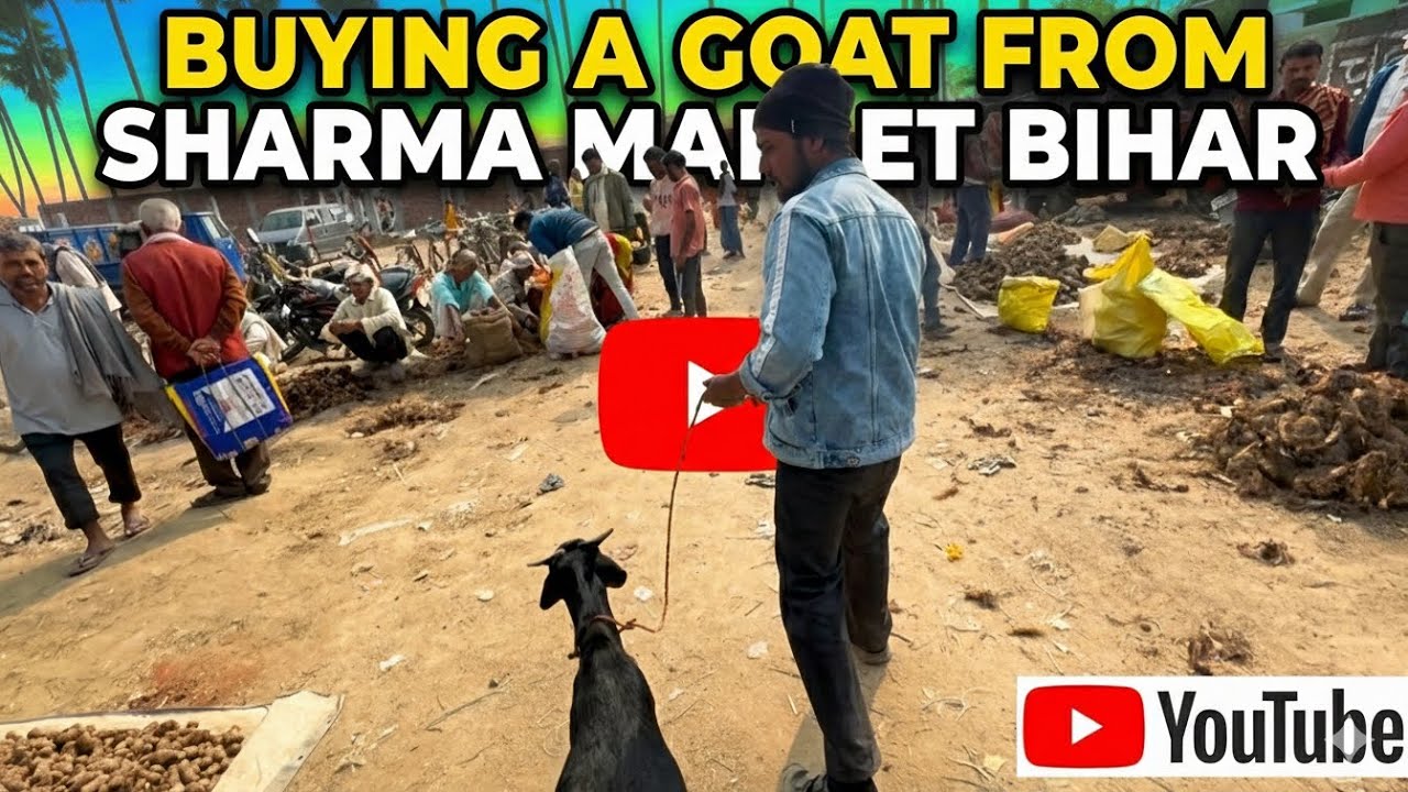 Buying A Goat 🐐 From Sharma Market Bihar Too much high price 😯#vlog #marketing #goat #bihar 