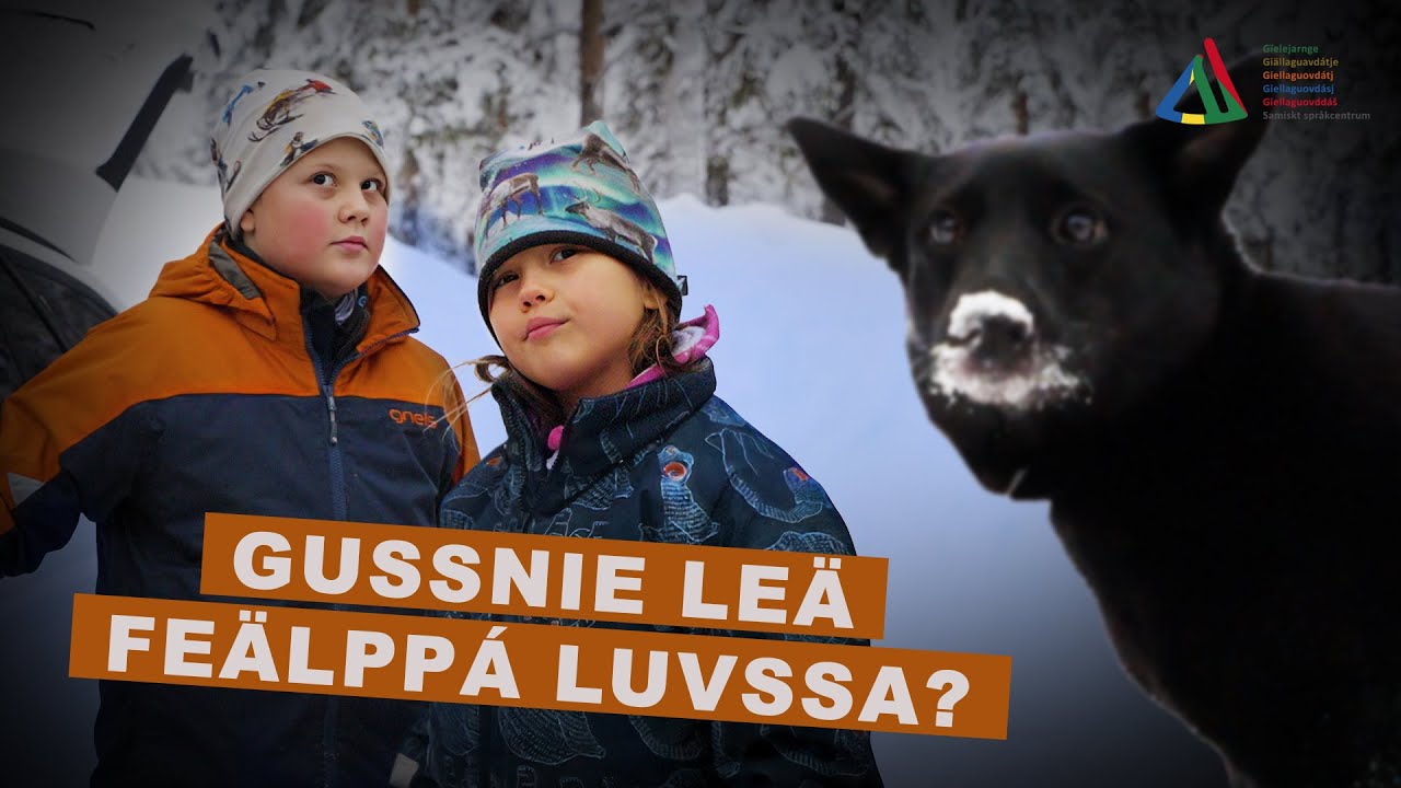 Gussnie leä feälppá Luvssa?  (umesamiska)