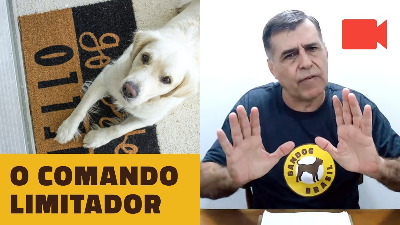 O Comando Limitador.