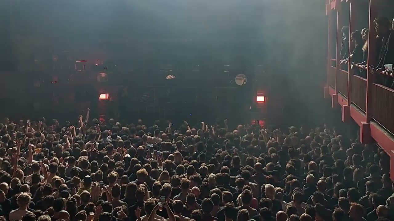 soulwax -