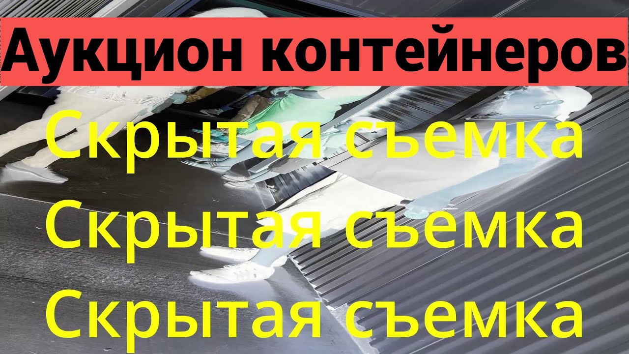 Аукцион контейнеров на скрытую камеру. Как напугать бультерьера?