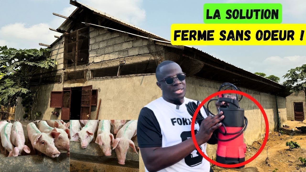 Cette pompe élimine 100% d'odeurs dans toutes les fermes d'élevage. Découvrez comment il fonctionne.