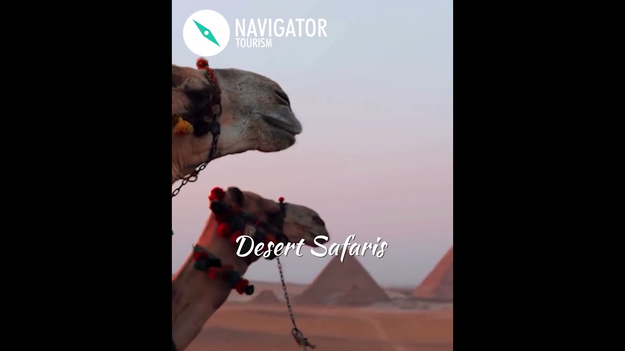 Experience the Best Tour Package of the Year with Navigator Tourism!