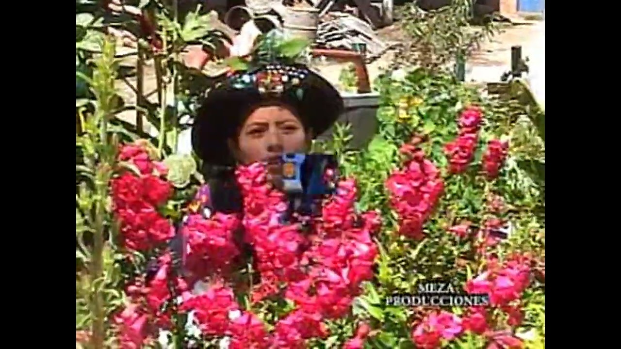 Carcel - Luiza Taype