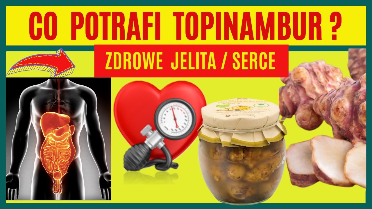 TOPINAMBUR  KISZONY - dla zdrowych jelit /  Naturalny Probiotyk // Na odporność