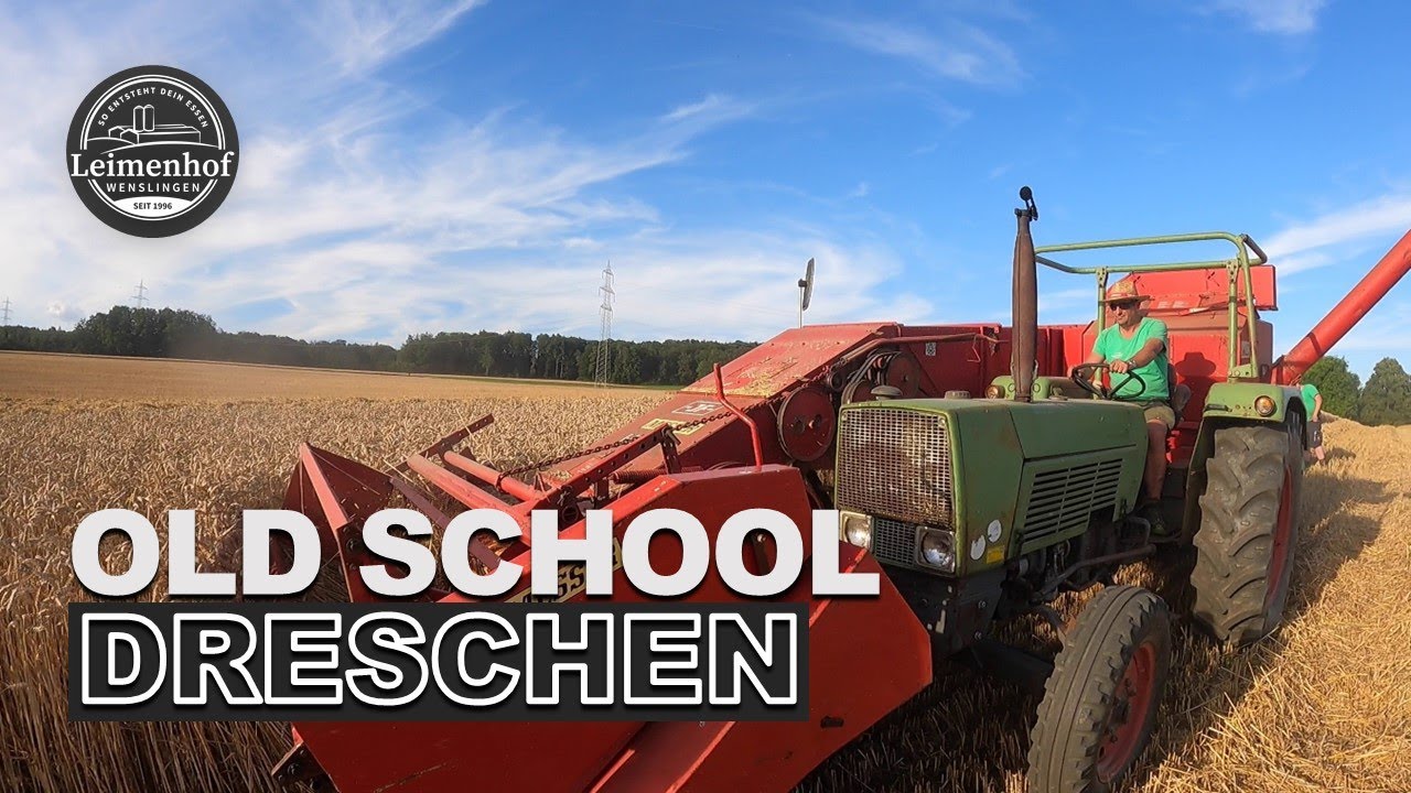 DRESCHEN MIT JF MS 90 #FarmVlog 143