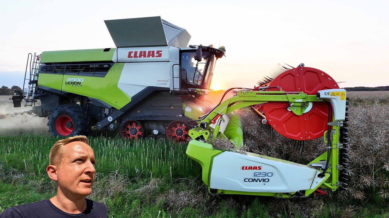 Høsten 2024 - Claas Lexion 8900 høster raps hos Christiansminde Multisite | Dansk Høst 2024