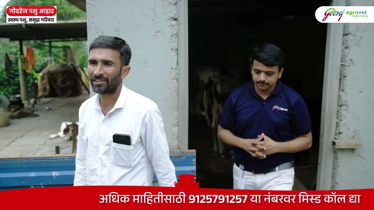 १ कालवडीपासून उभा राहिला डेअरी व्यवसाय!