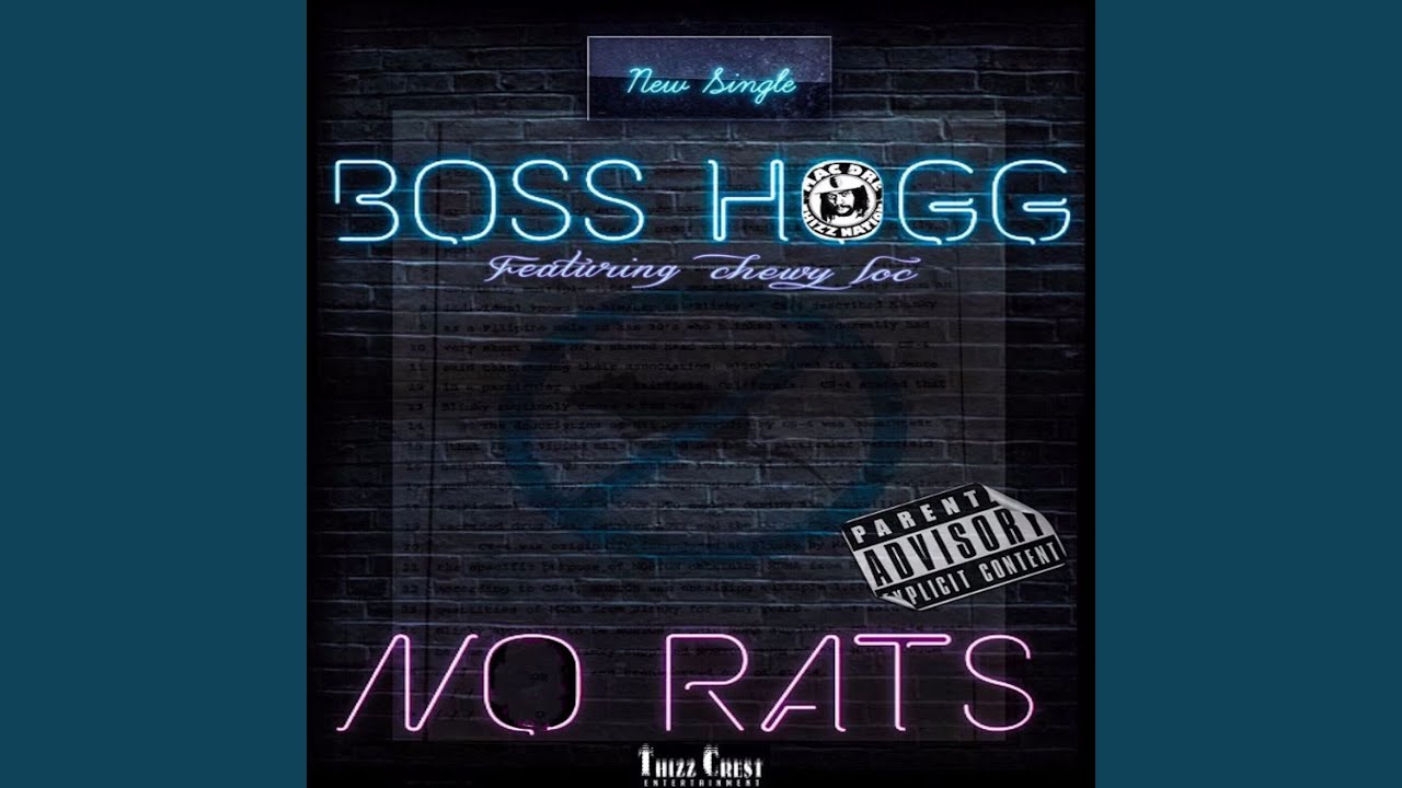 No Rats