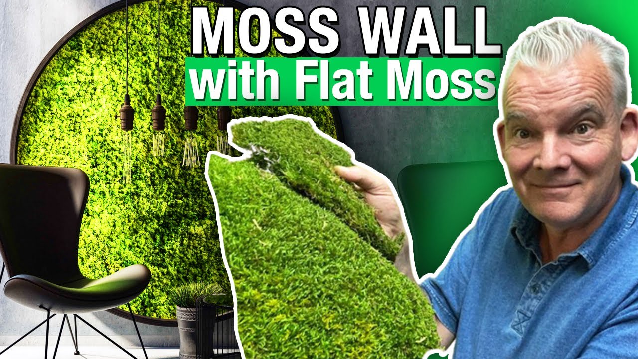 How to Build a Moss Wall - Using Flat Moss