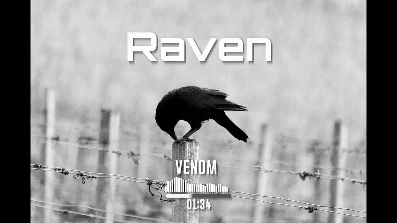 Raven | Sinister Trap Instrumental | Hip Hop Instrumentals