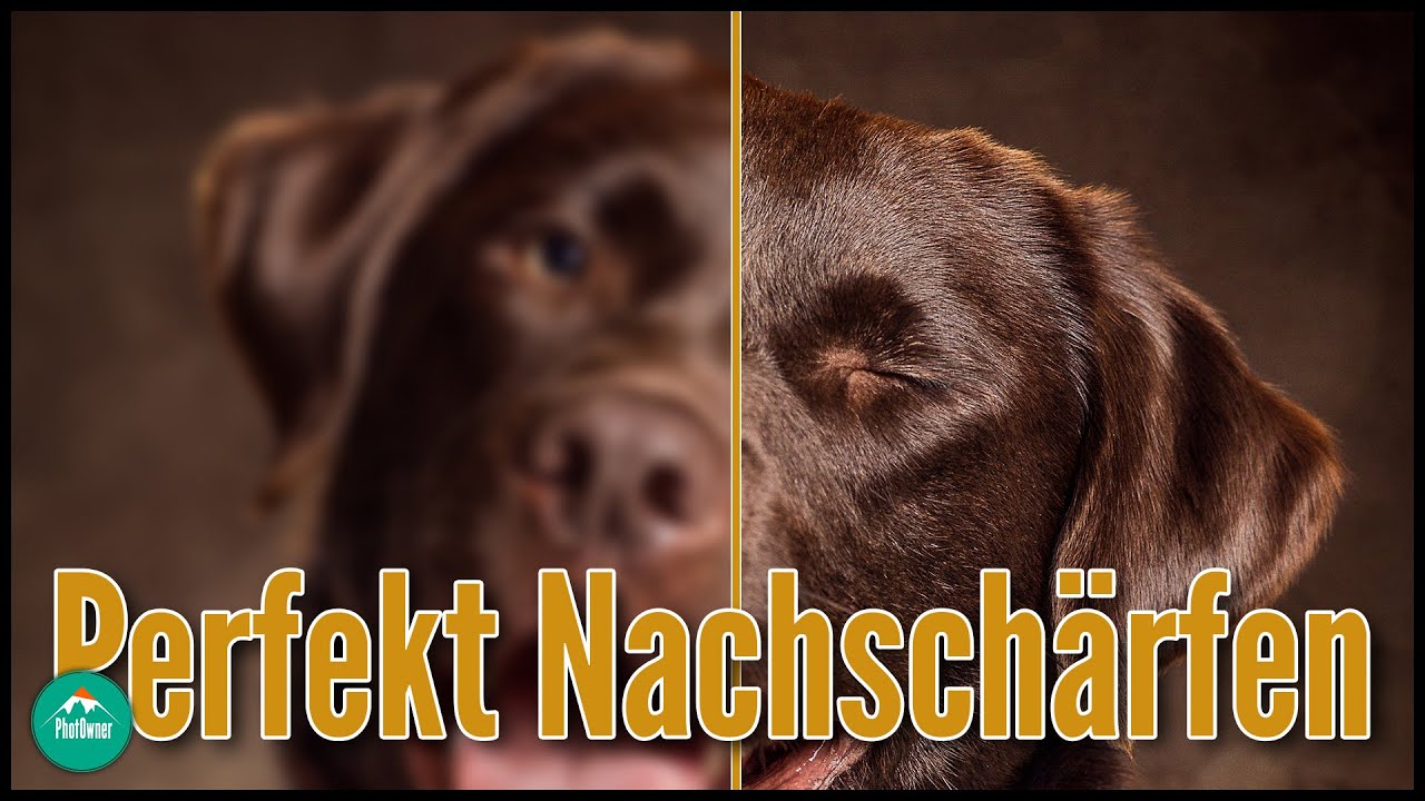 Die BESTE Methode zum Nachschärfen in PHOTOSHOP | PhotOwner