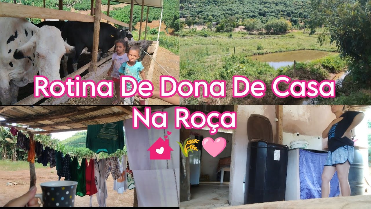 Um Pouco Da Minha Rotina De Dona De Casa Morando Na Roça ✨🩷🌾 #vidanaroça