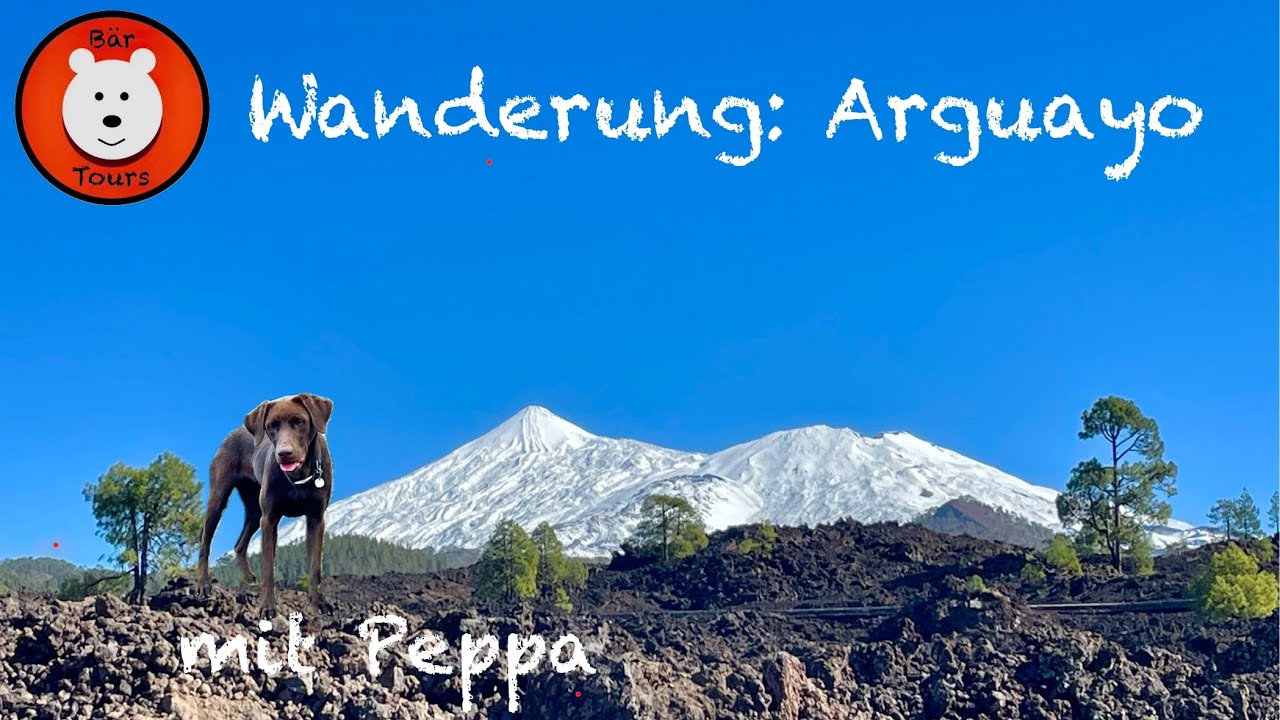 Teneriffa: Wanderung Arguayo