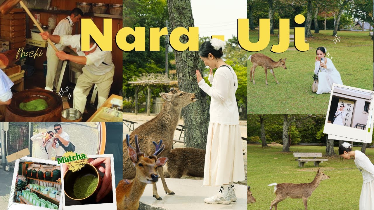 Japan Vlog ep4: 1 ngày cực chill ở Nara & Uji - đẹp như Ghibli, cho Hươu ăn, mua Matcha ⛩️🦌🍵🍡🌿