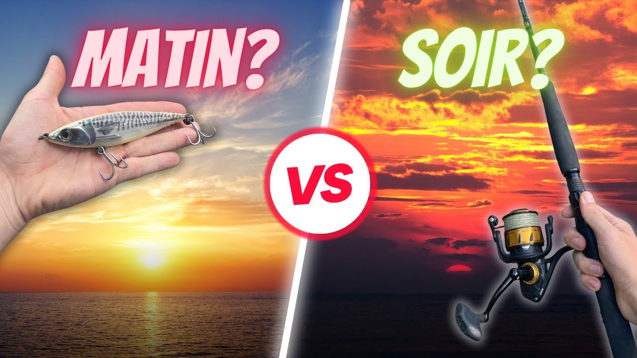 Ce leurre est REDOUTABLE! Fin de session EXPLOSIVE! Coup du matin VS du soir?! (pêche en Guadeloupe)