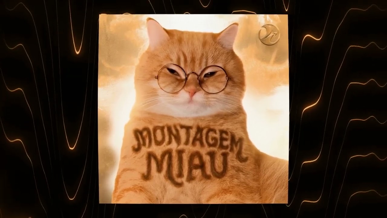 MONTAGEM MIAU