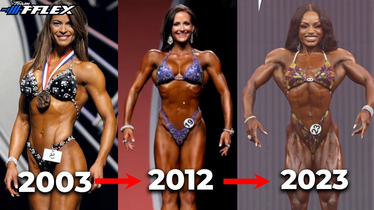 Evolution of Figure | 2003-2023 Figure Division Breakdown