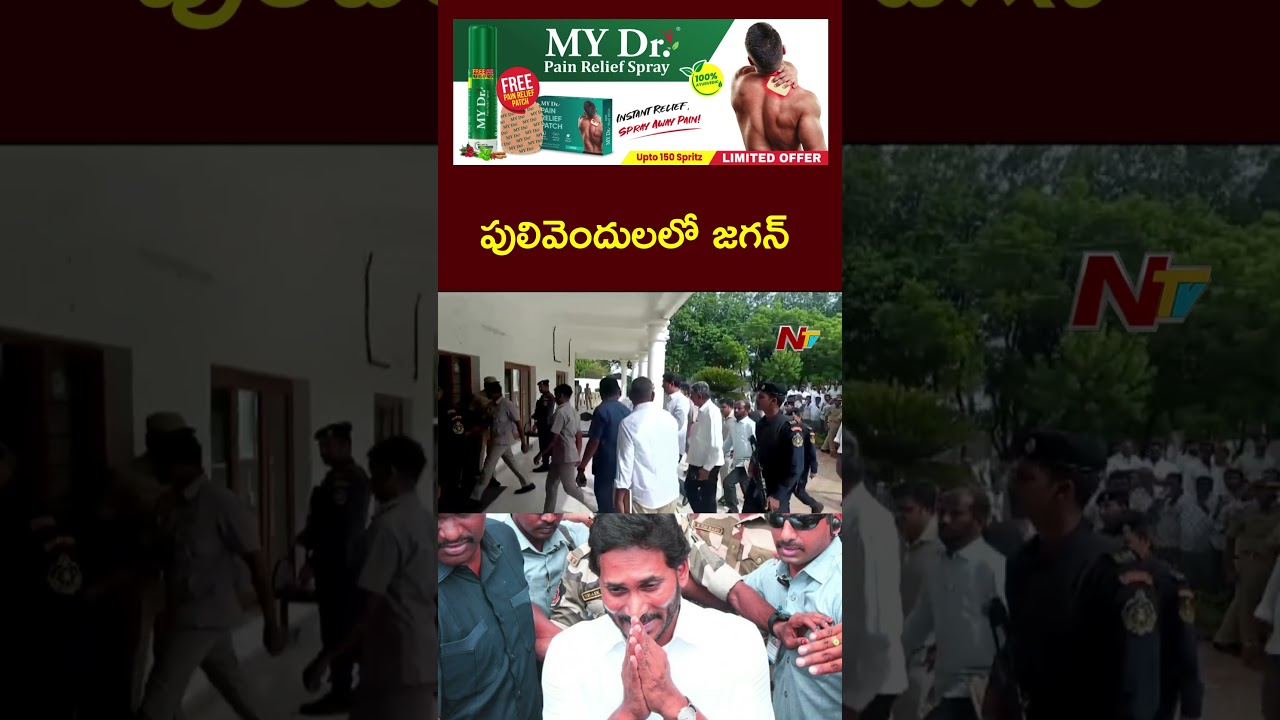 YS Jagan At Pulivendula Camp Office | YSRCP | Ntv